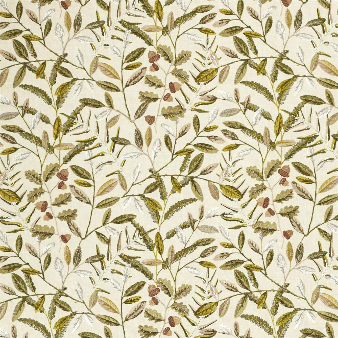 Sanderson kangas Quercus