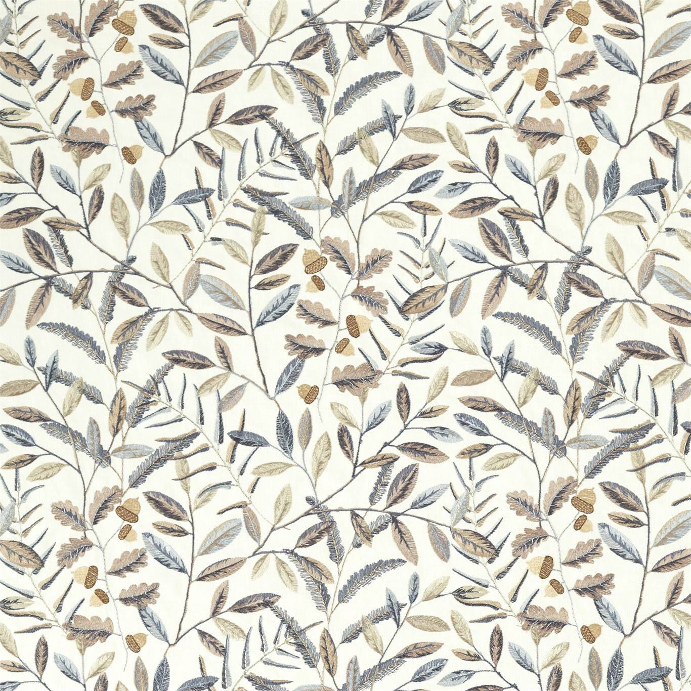 Sanderson kangas Quercus