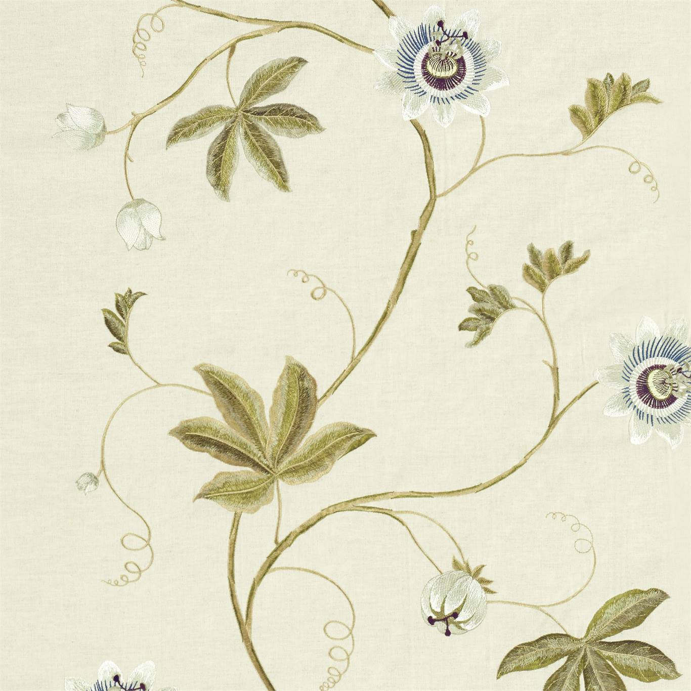 Sanderson kangas Passion Vine