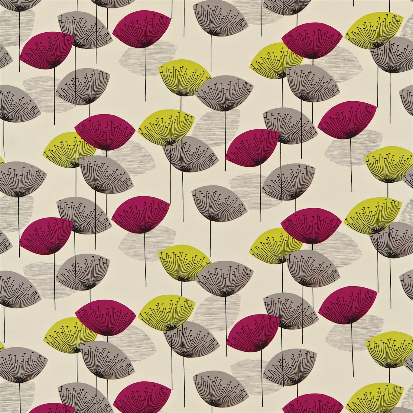 Sanderson kangas Dandelion Clocks