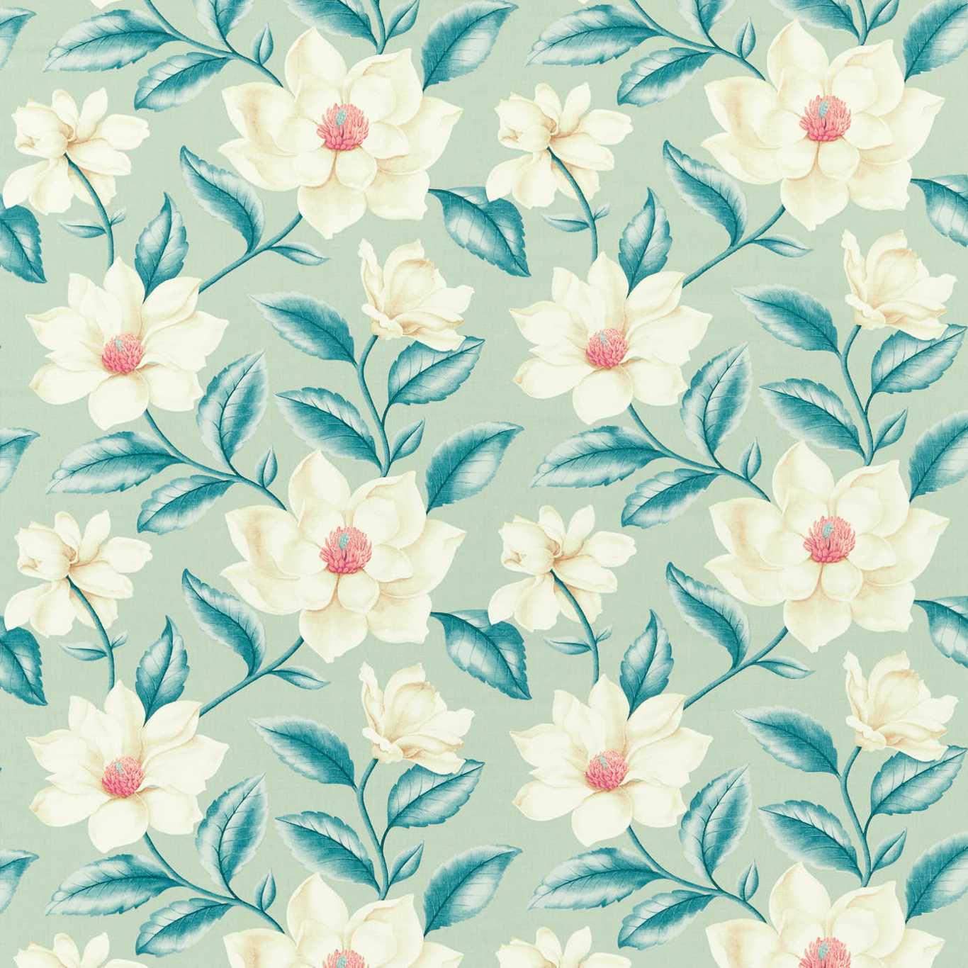 Sanderson kangas Grandiflora