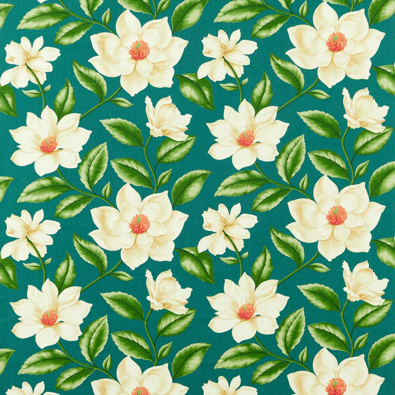 Sanderson kangas Grandiflora