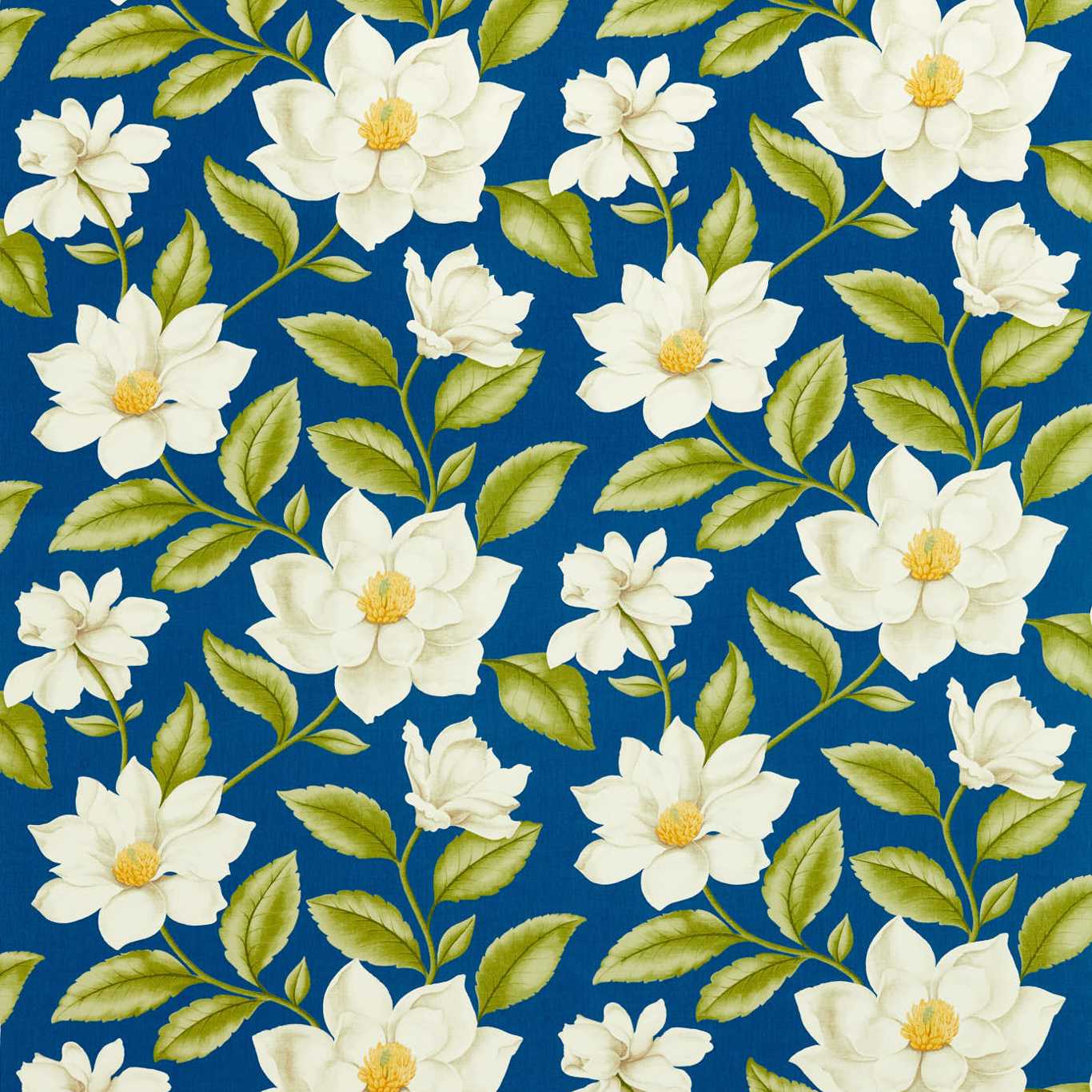 Sanderson kangas Grandiflora