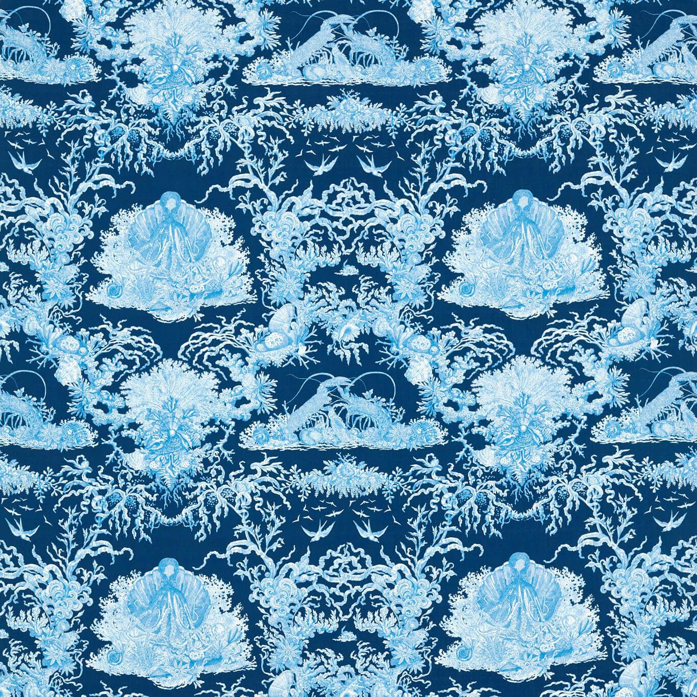 Sanderson kangas Monterey Bay