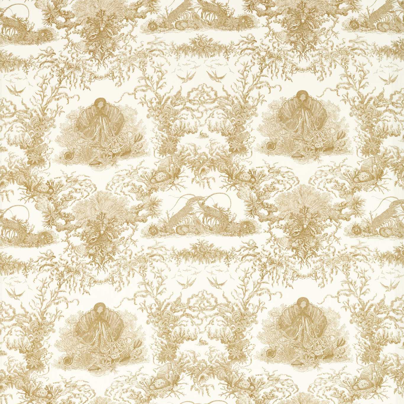 Sanderson kangas Monterey Bay