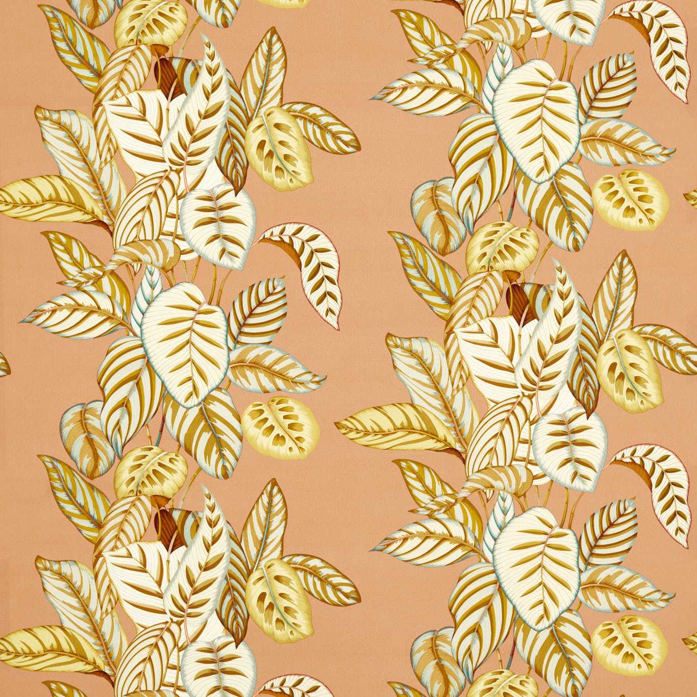Sanderson kangas Calathea