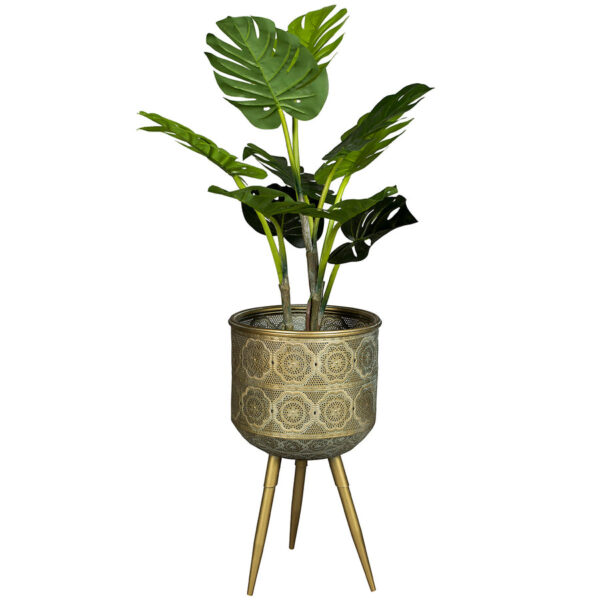 Dutchbone taimealus Botanique