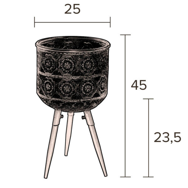 Dutchbone taimealus Botanique