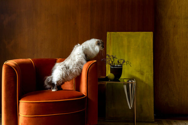 Dutchbone tugitool Flower Lounge Chair