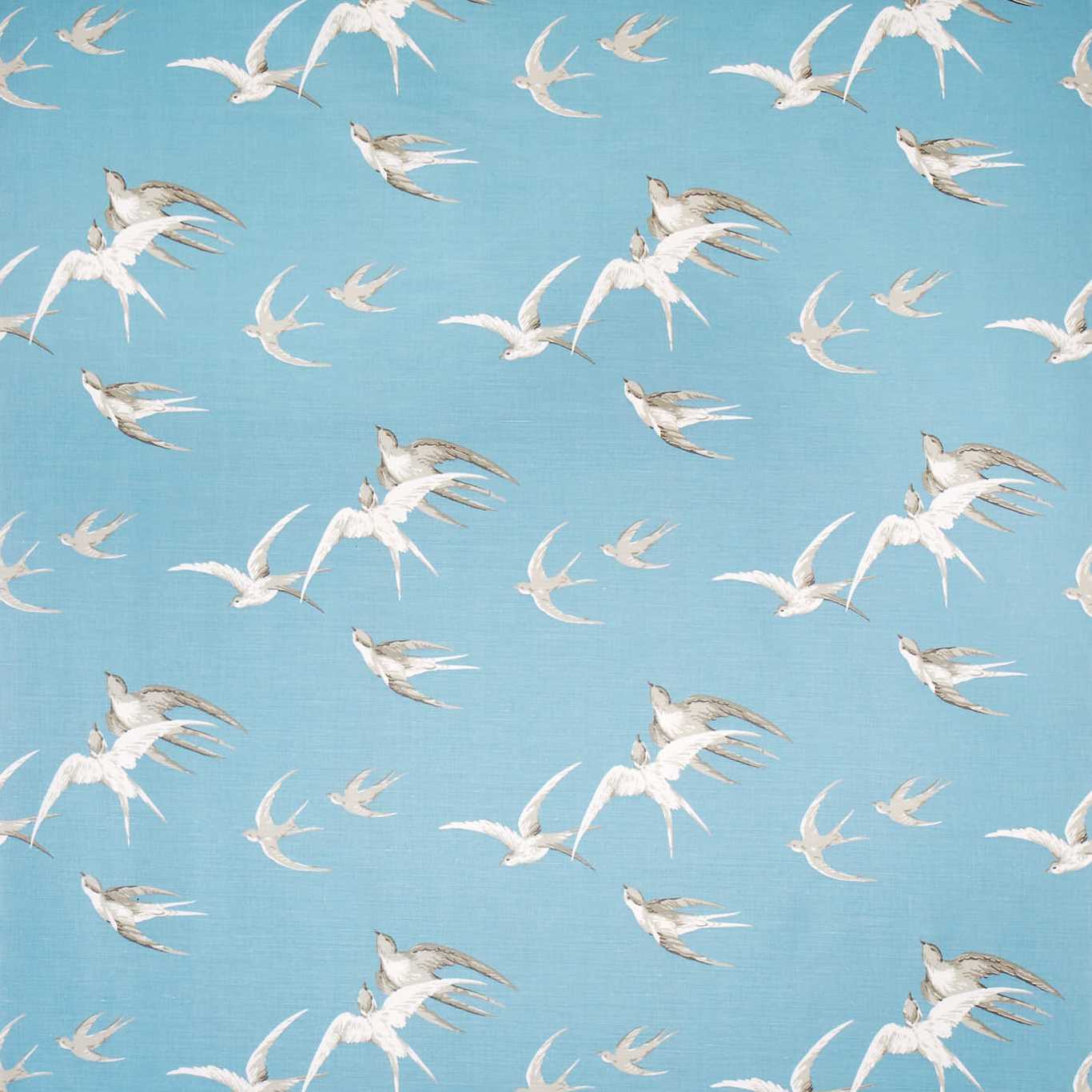 Sanderson kangas Swallows