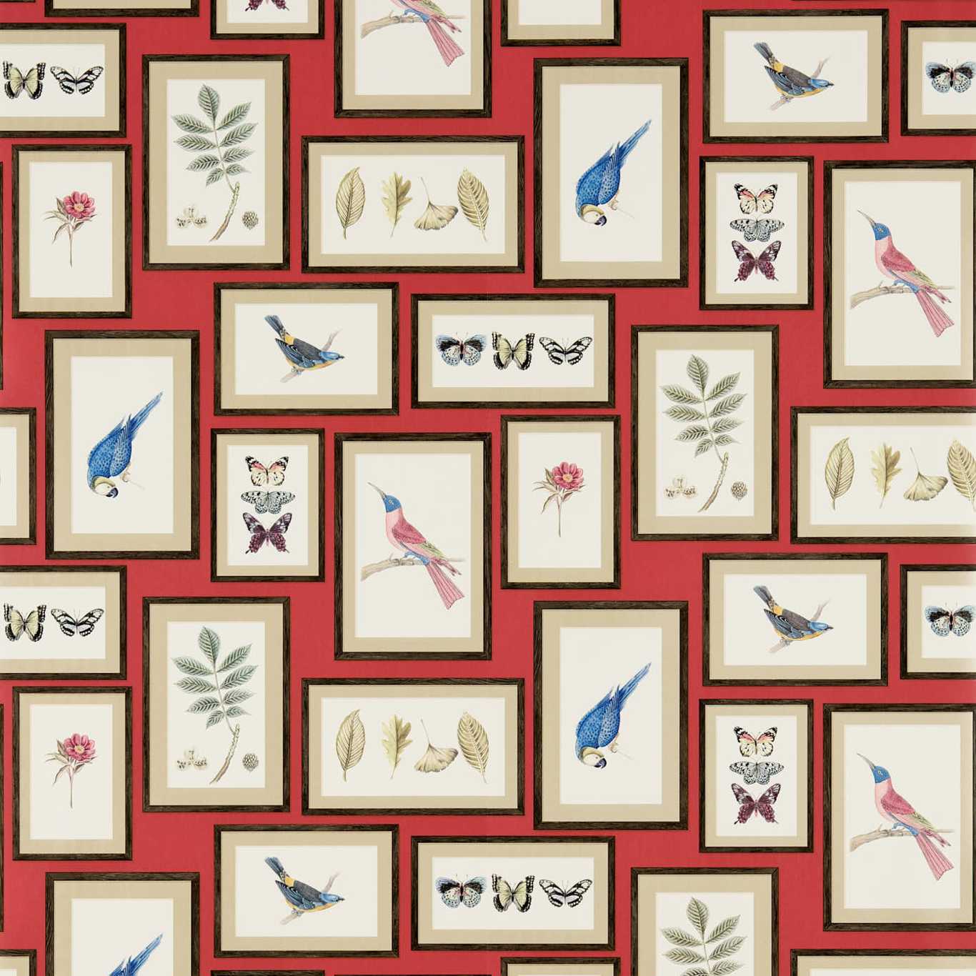 Sanderson tapeet Picture Gallery