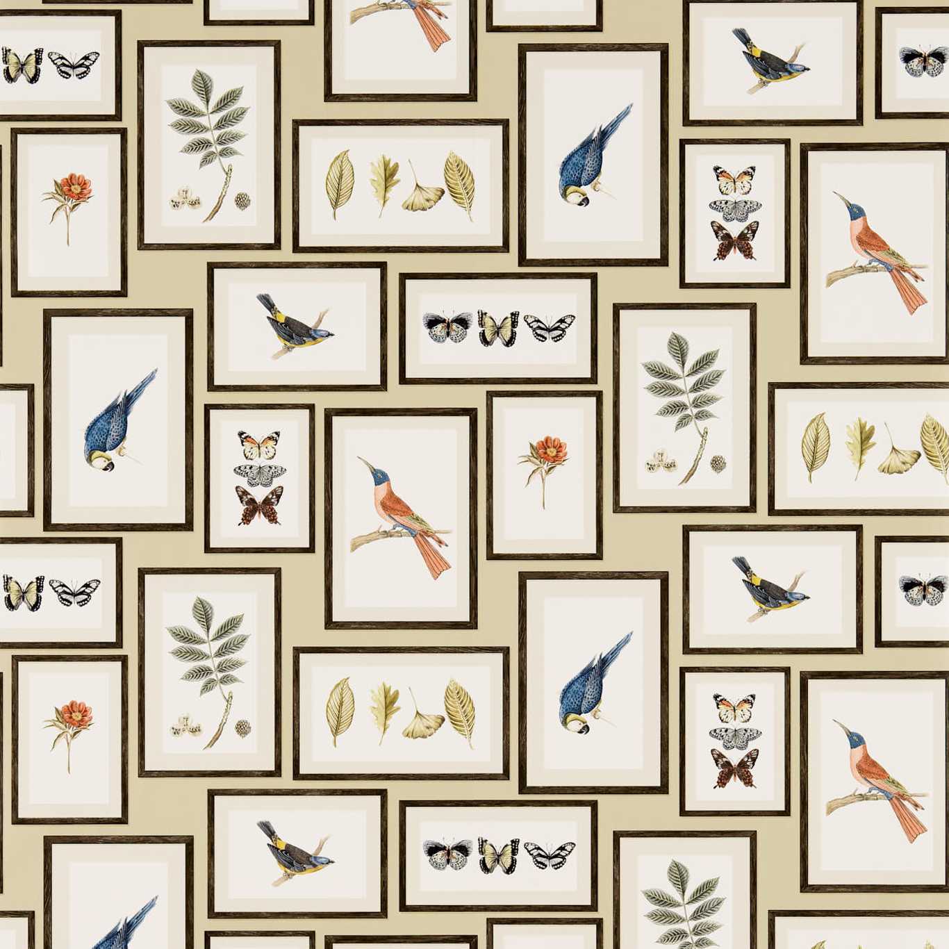Sanderson tapeet Picture Gallery