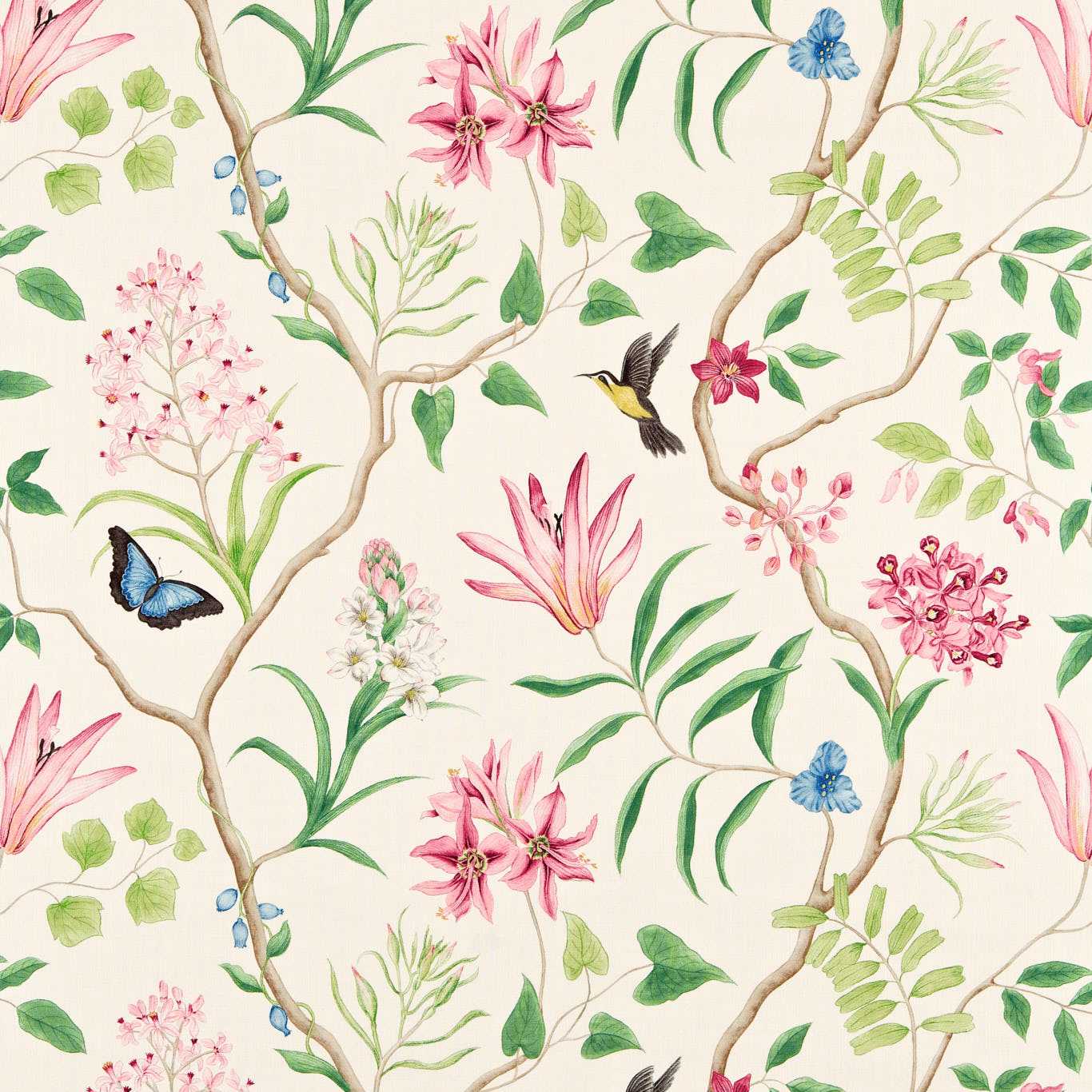 Sanderson kangas Clementine