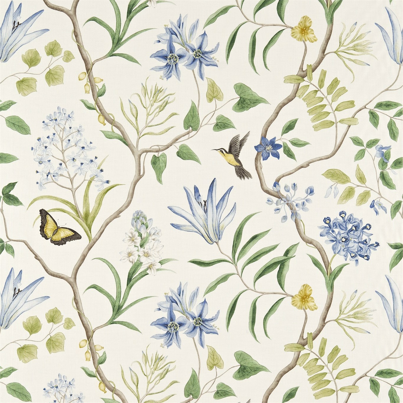 Sanderson kangas Clementine