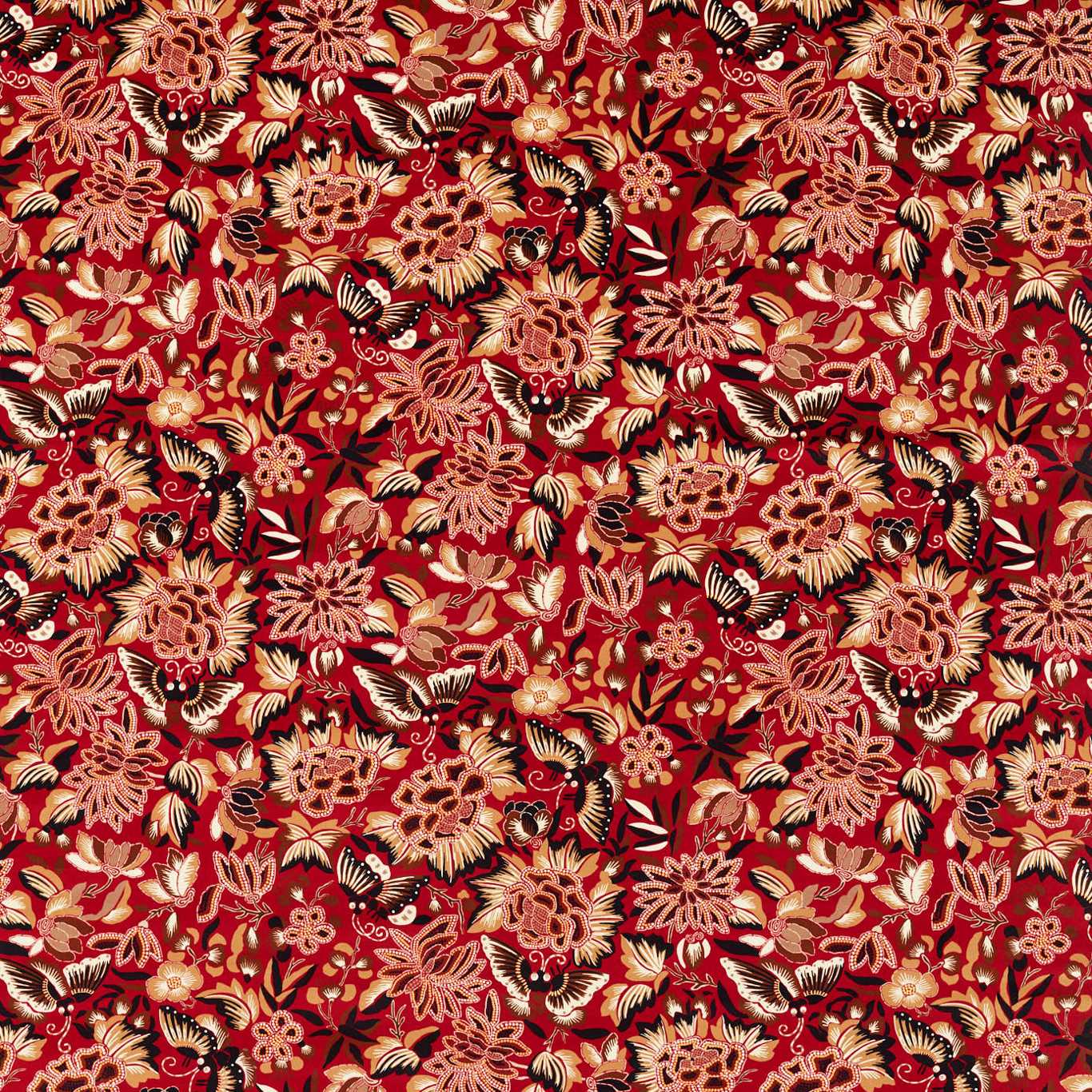 Sanderson kangas Amara Butterfly