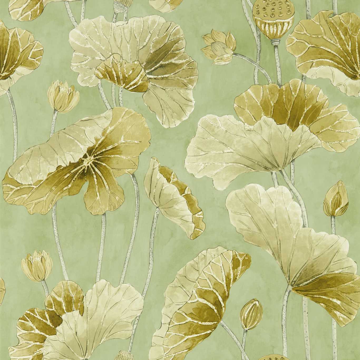 Sanderson tapeet Lotus Leaf