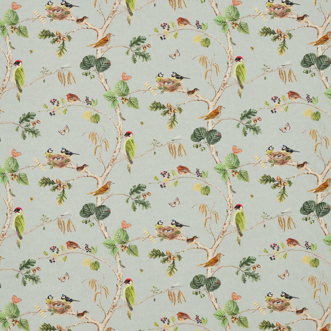 Sanderson kangas Woodland Chorus