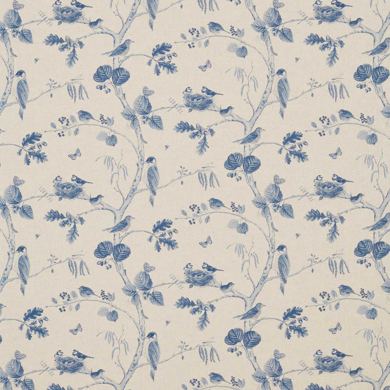Sanderson kangas Woodland Chorus