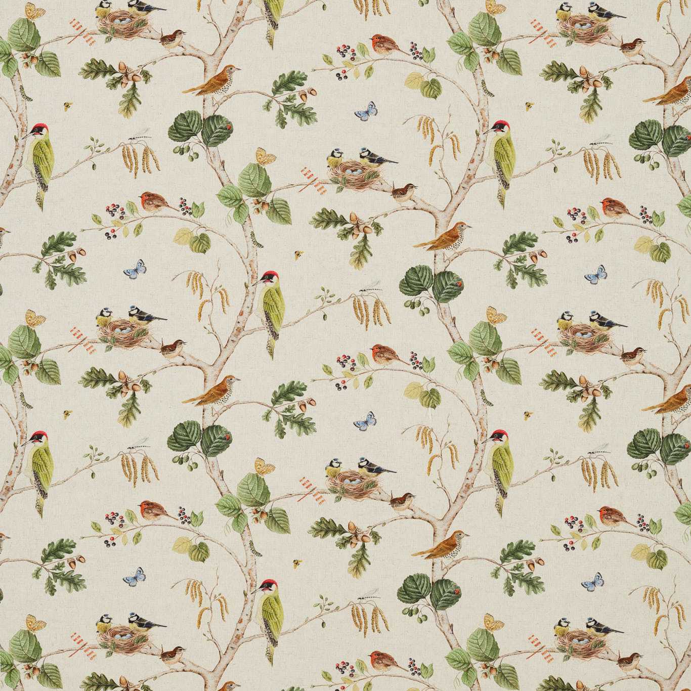 Sanderson kangas Woodland Chorus