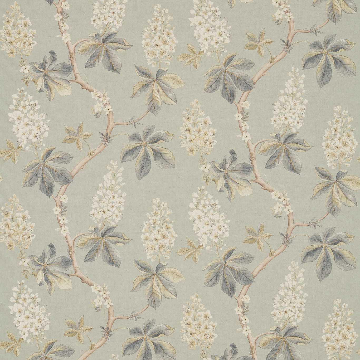 Sanderson kangas Chestnut Tree