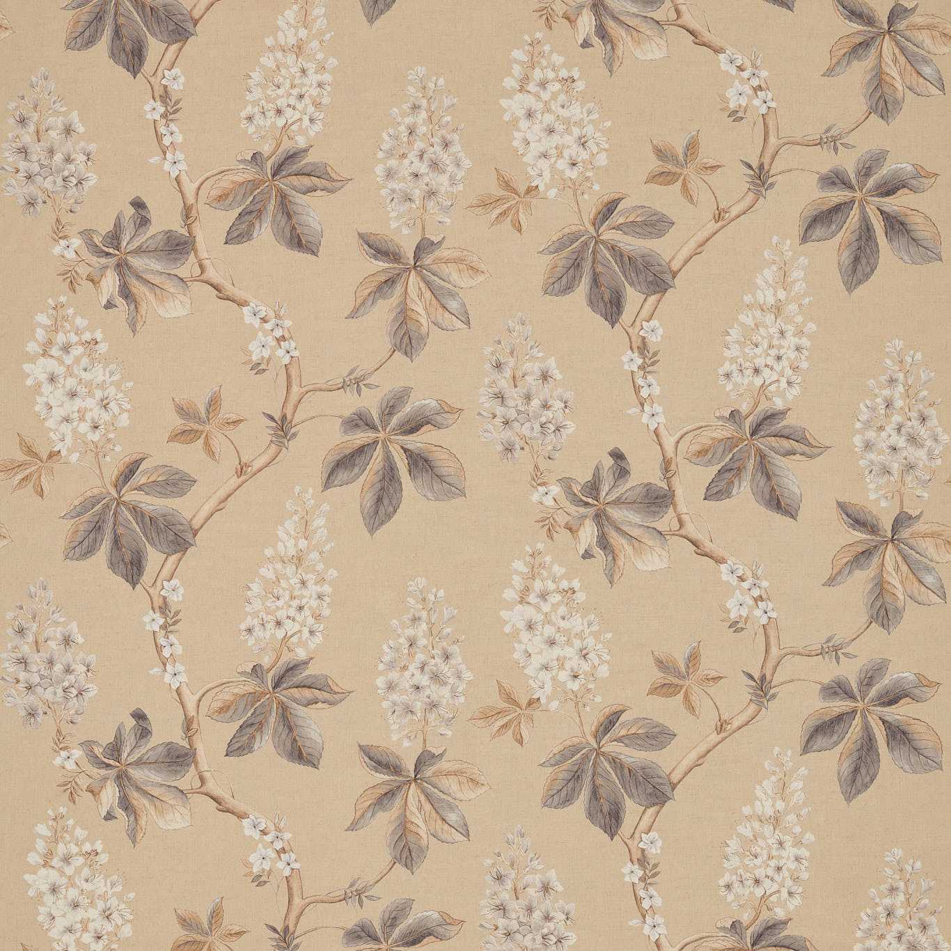 Sanderson kangas Chestnut Tree