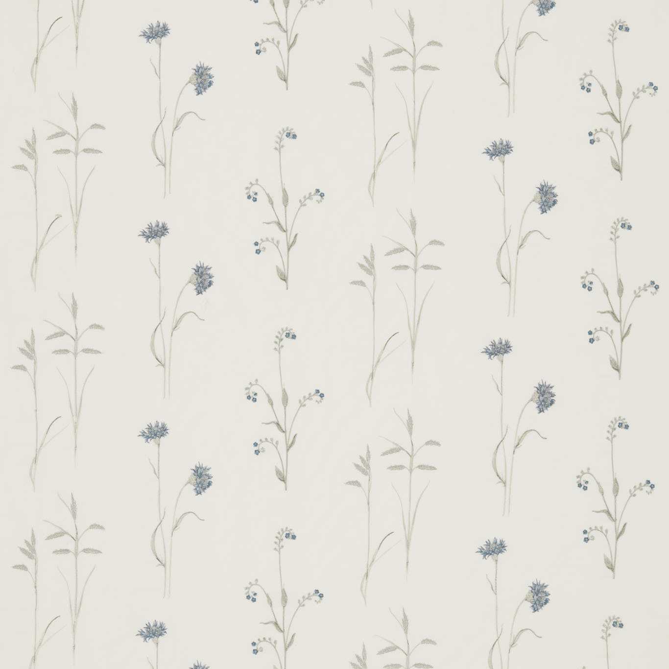 Sanderson kangas Meadow Grasses