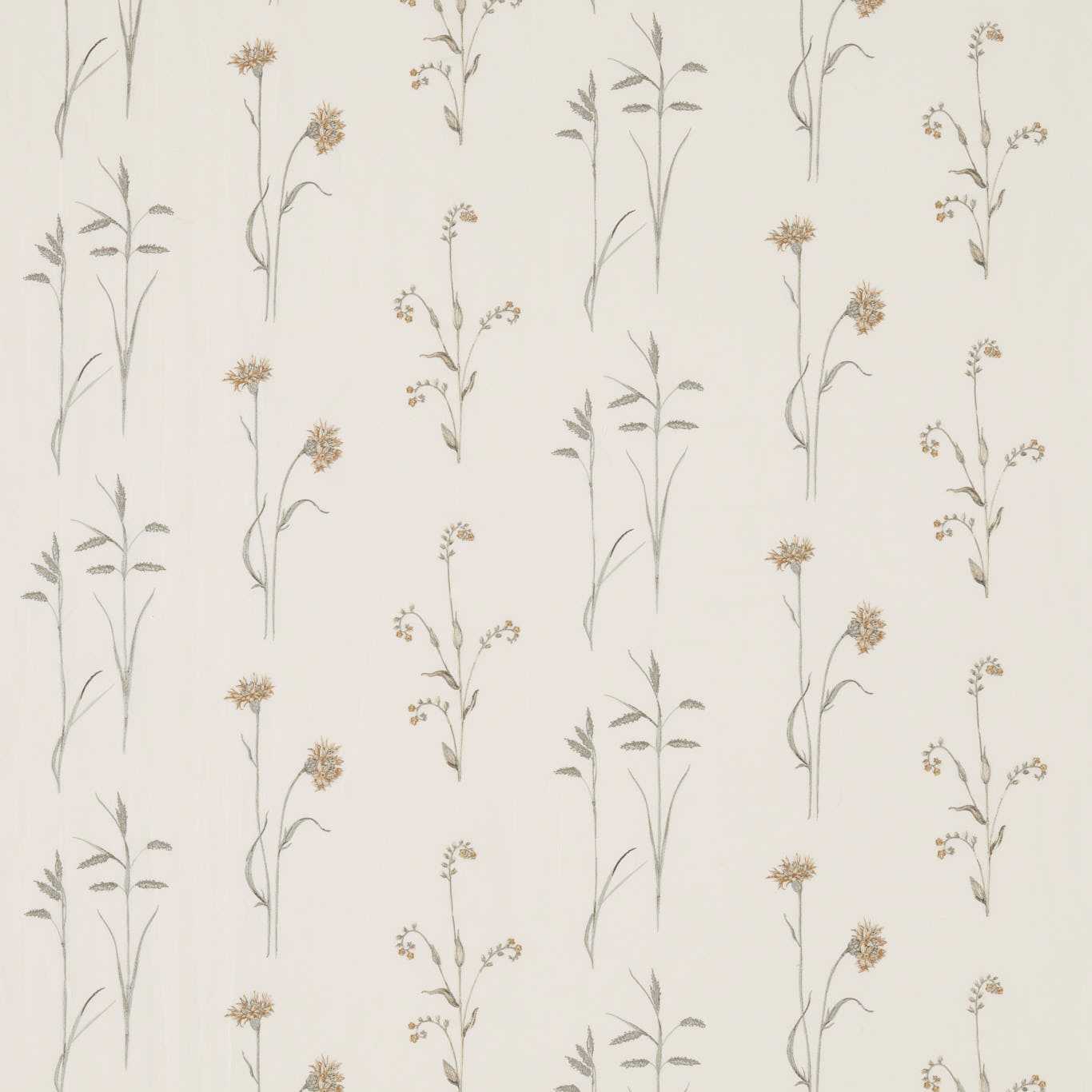 Sanderson kangas Meadow Grasses