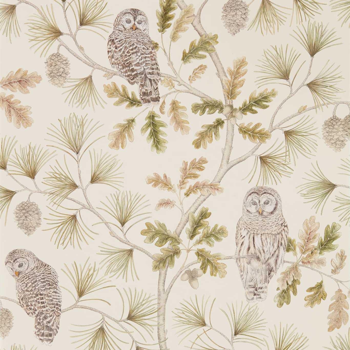 Sanderson tapeet Owlswick