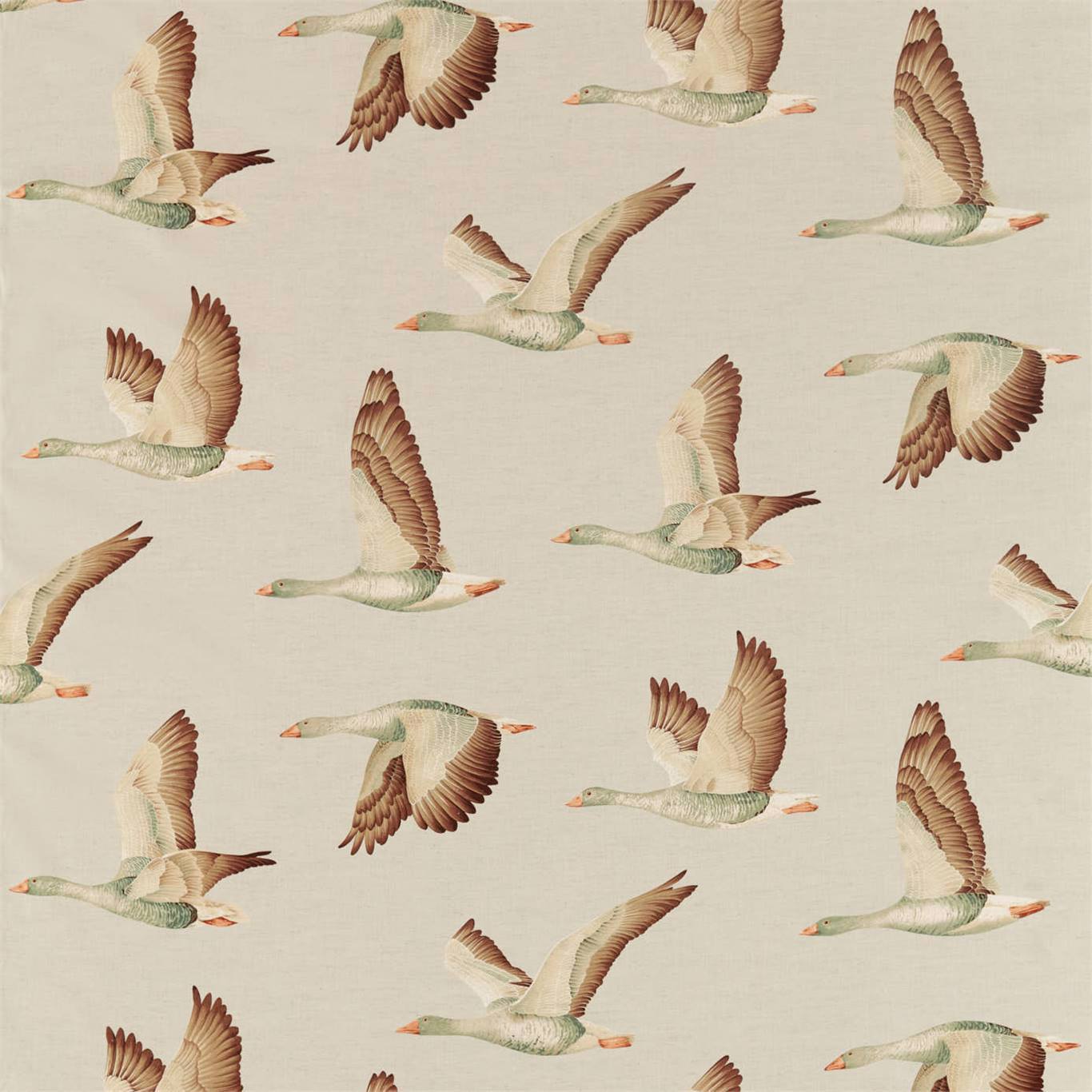 Sanderson kangas Elysian Geese