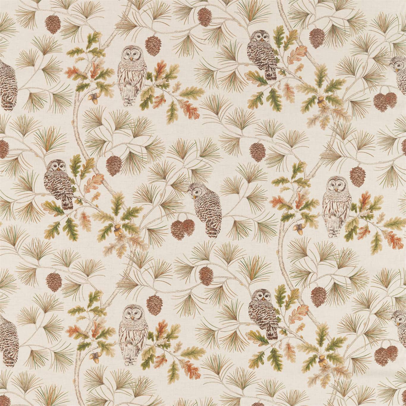 Sanderson kangas Owlswick