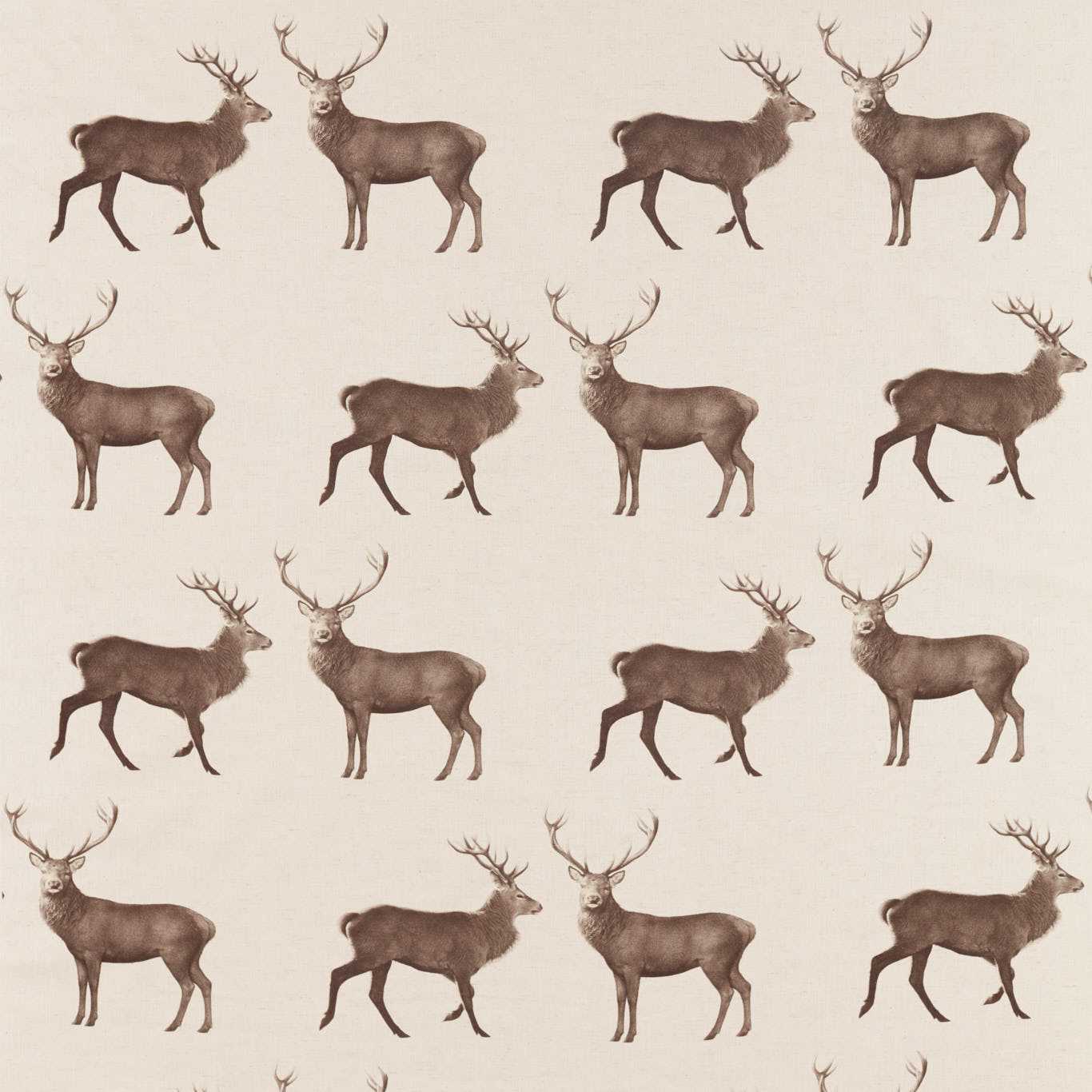 Sanderson kangas Evesham Deer