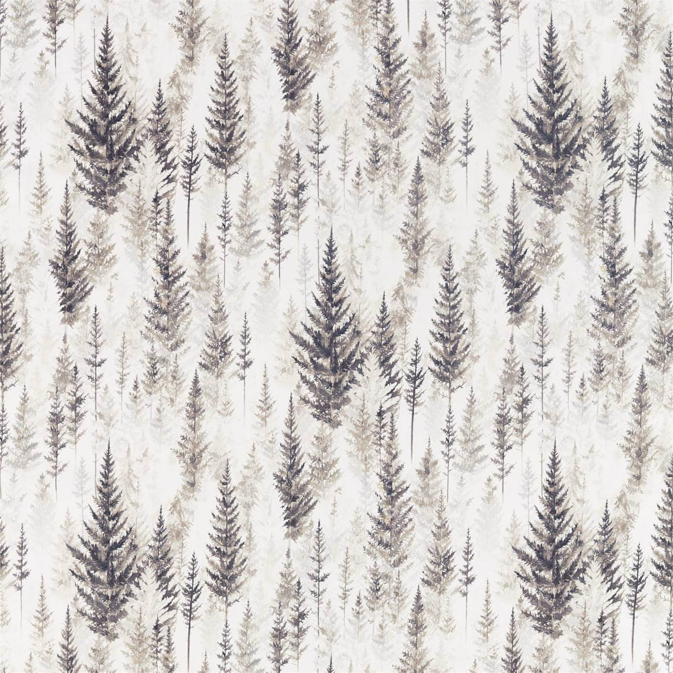 Sanderson kangas Juniper Pine