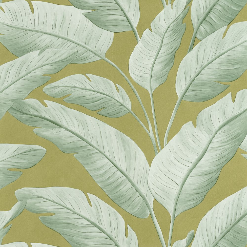Caselio tapeet Tropicalia
