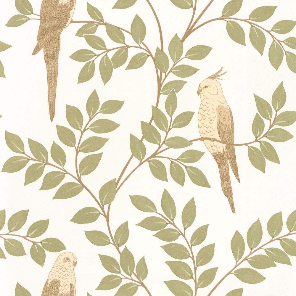 EZba1tR2qz Caselio tapeet Equateur