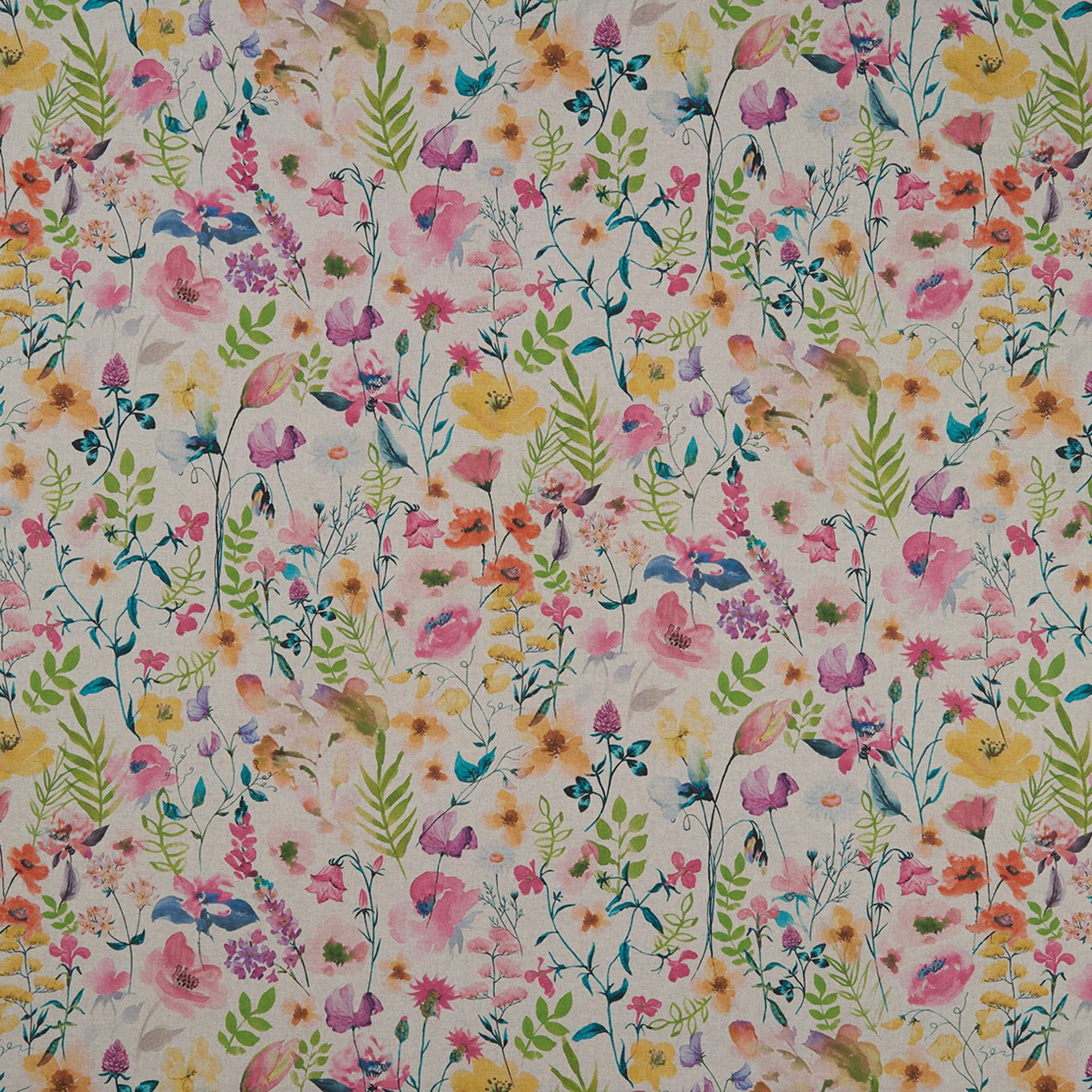 Clarke & Clarke kangas Lolita