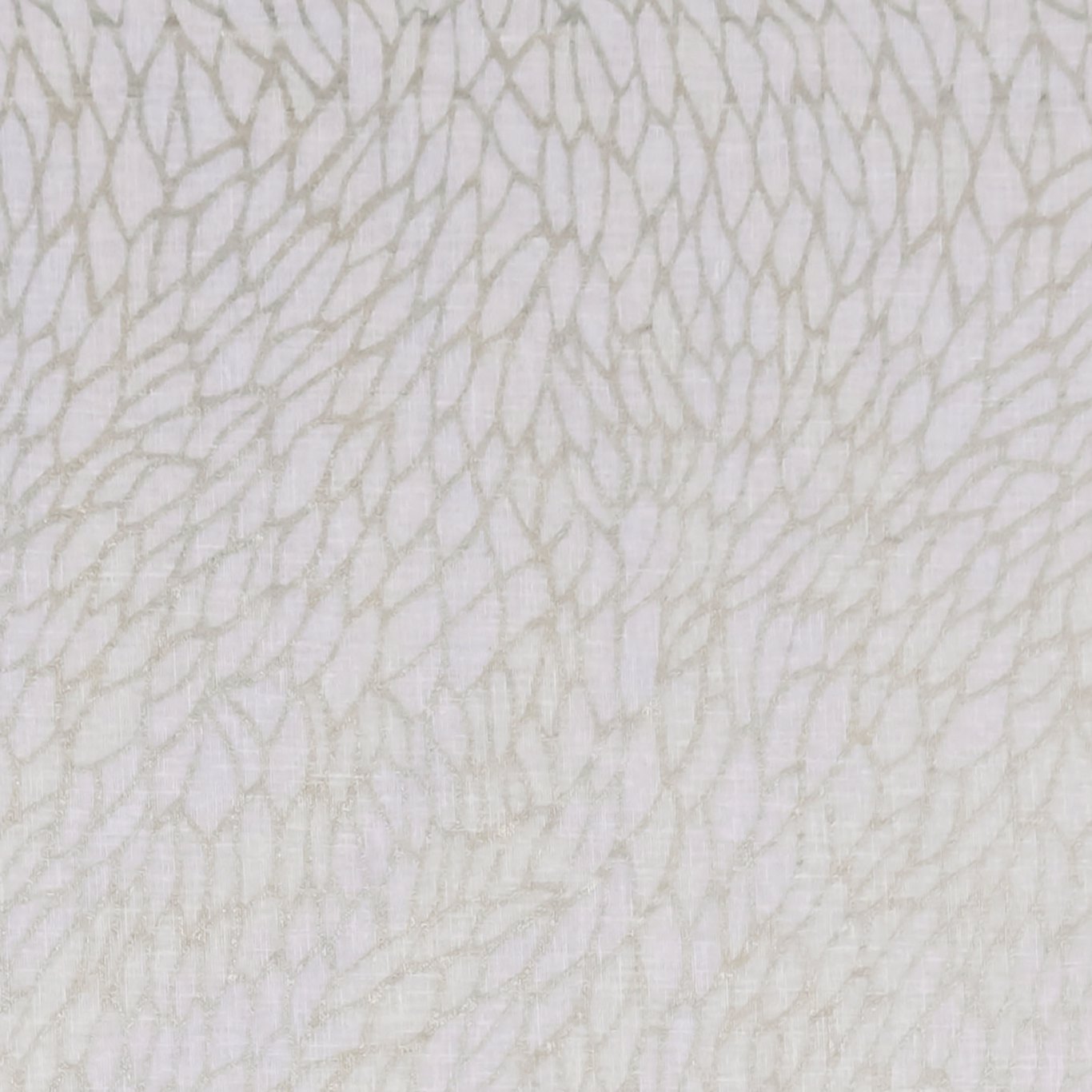 Clarke & Clarke kangas Corallino Sheer