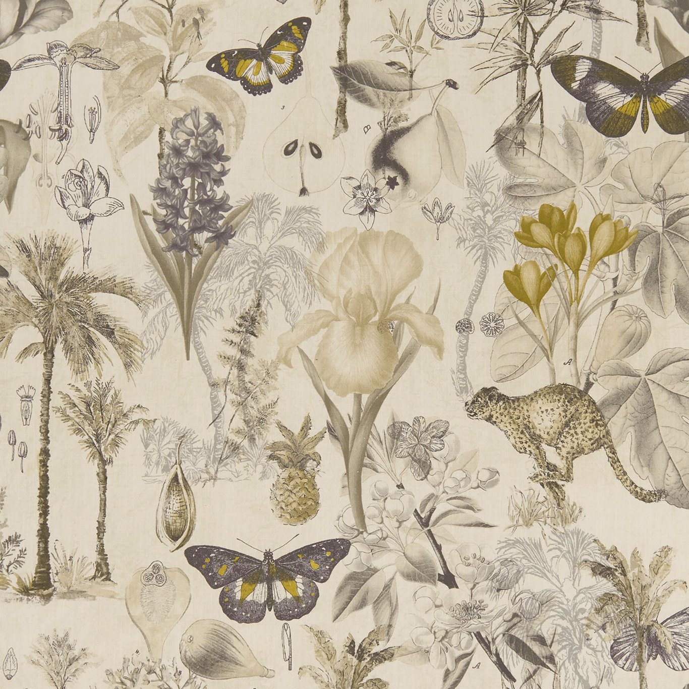 Clarke & Clarke kangas Botany