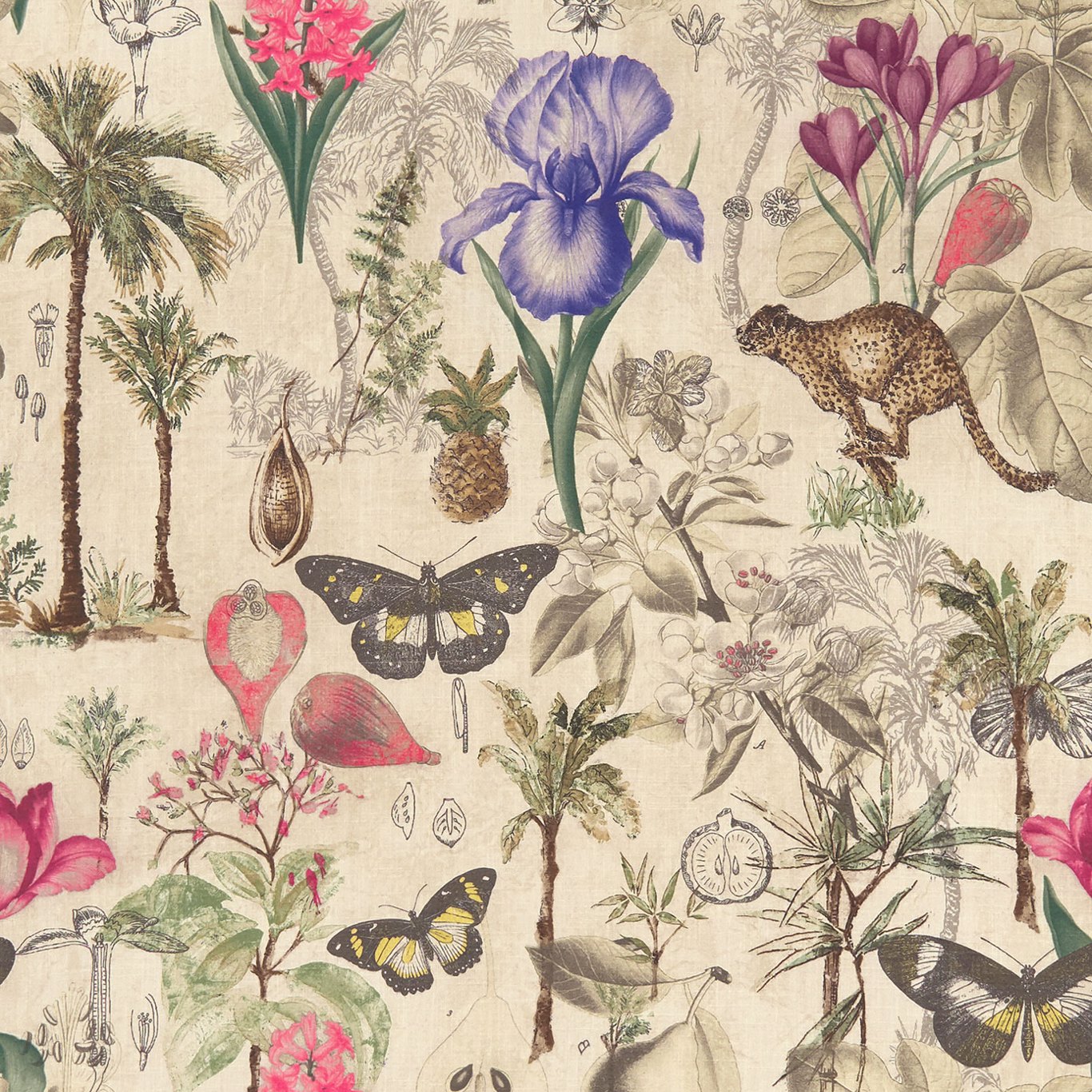 Clarke & Clarke kangas Botany