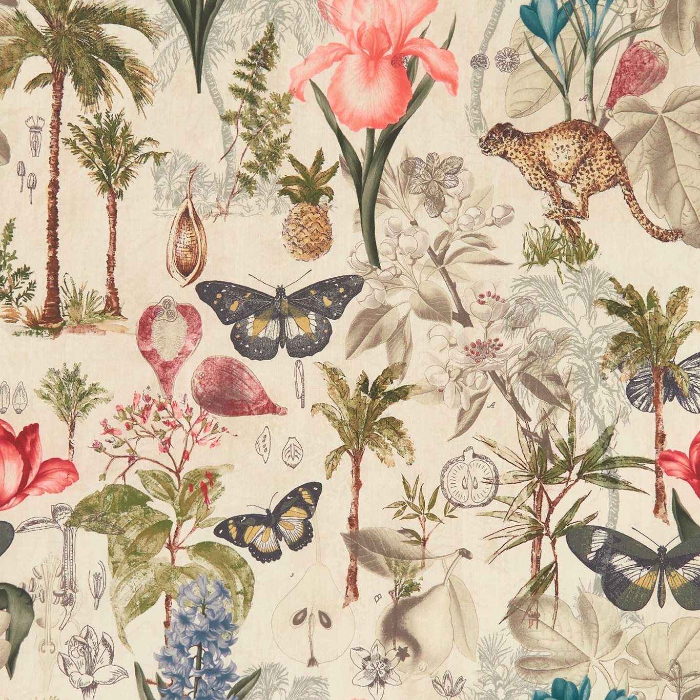 Clarke & Clarke kangas Botany
