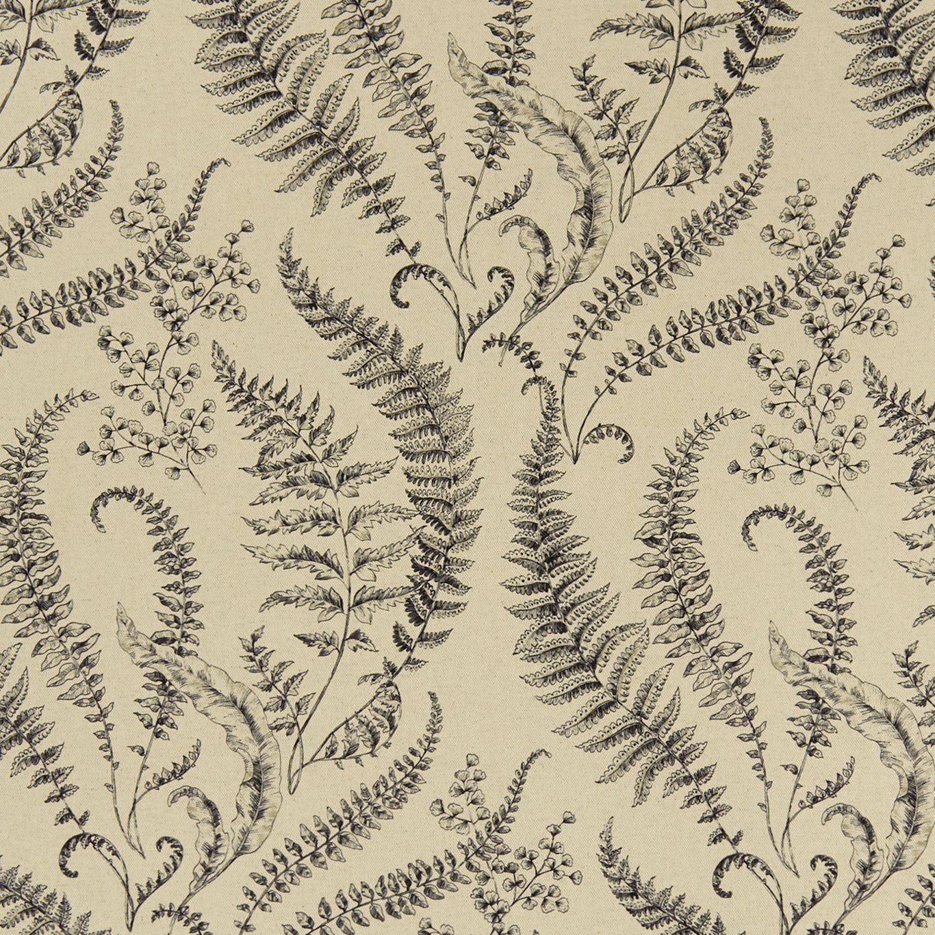 Clarke & Clarke kangas Folium
