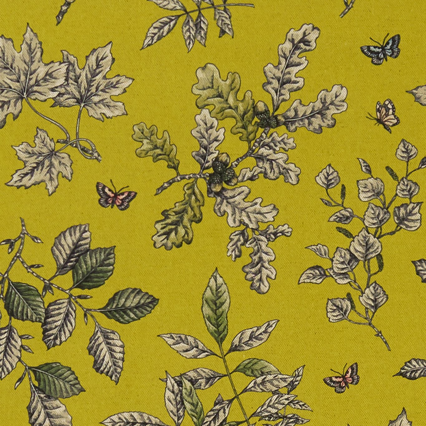 Clarke & Clarke kangas Hortus