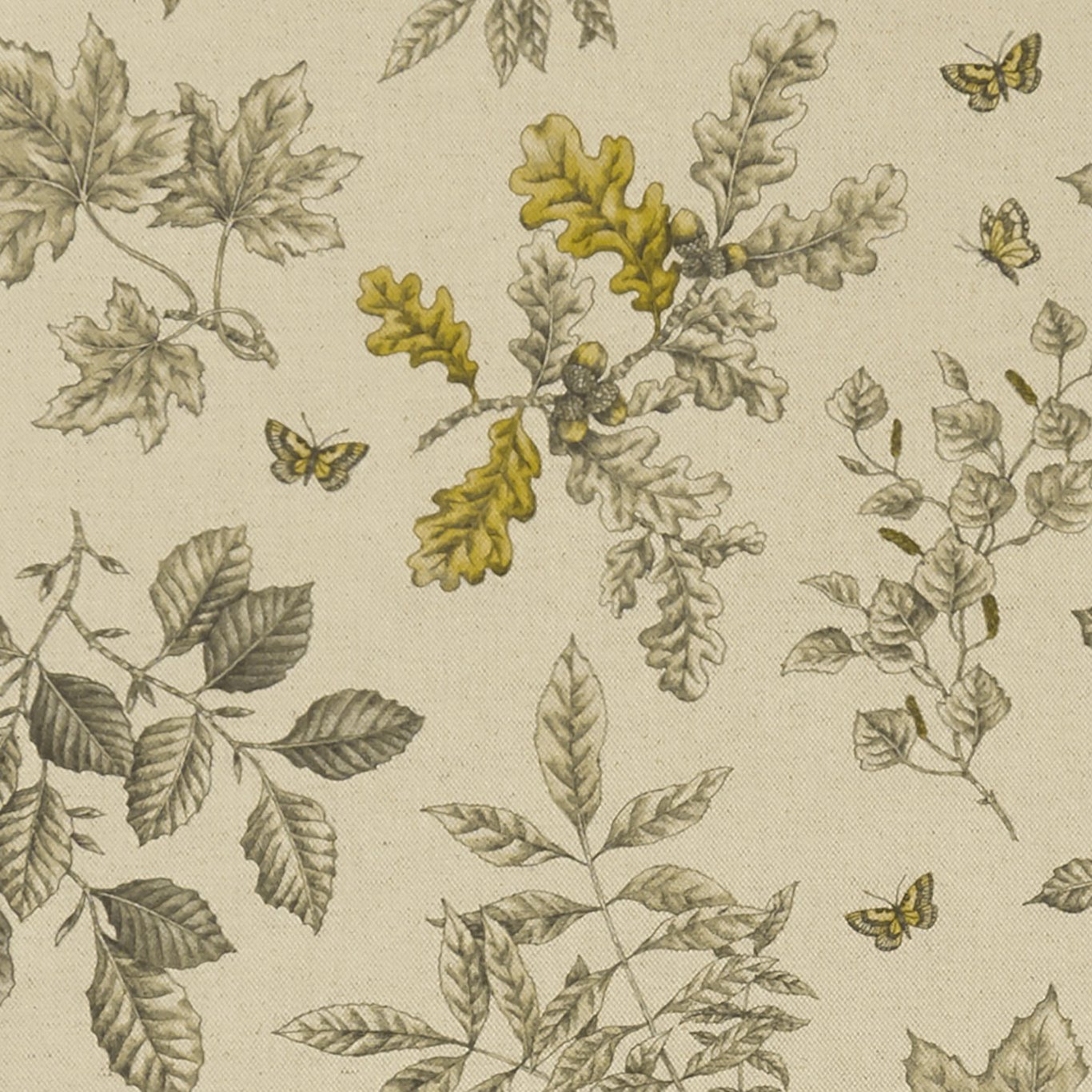 Clarke & Clarke kangas Hortus