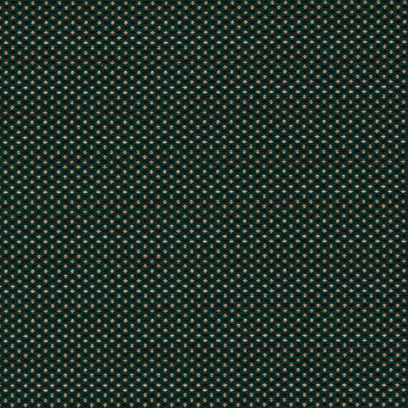 Clarke & Clarke kangas Pavo