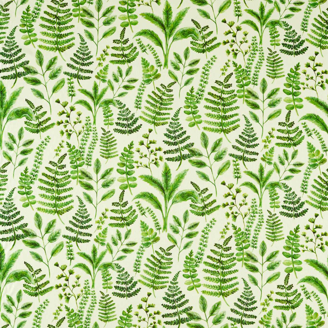 Clarke & Clarke kangas Bracken