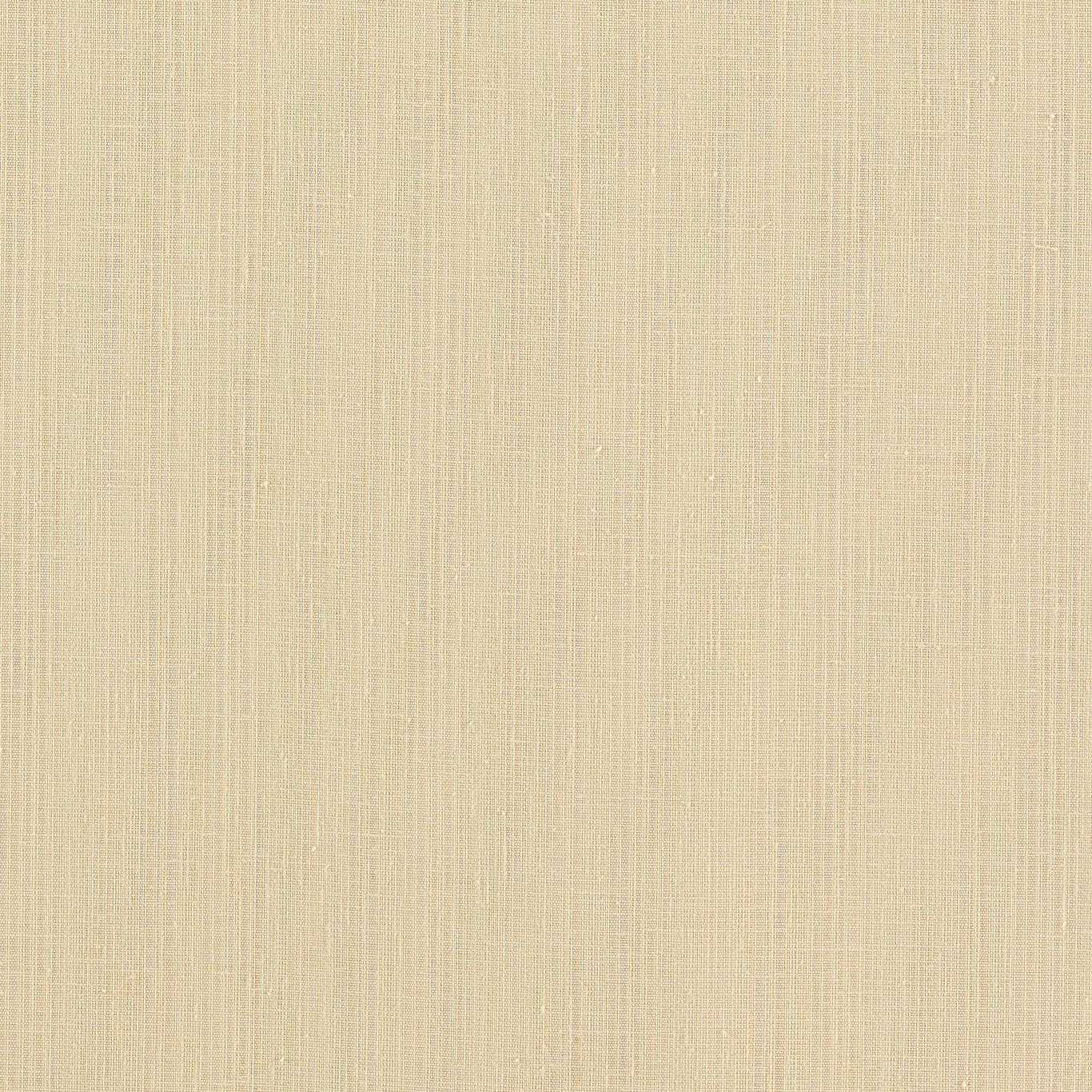 Clarke & Clarke kangas Remo