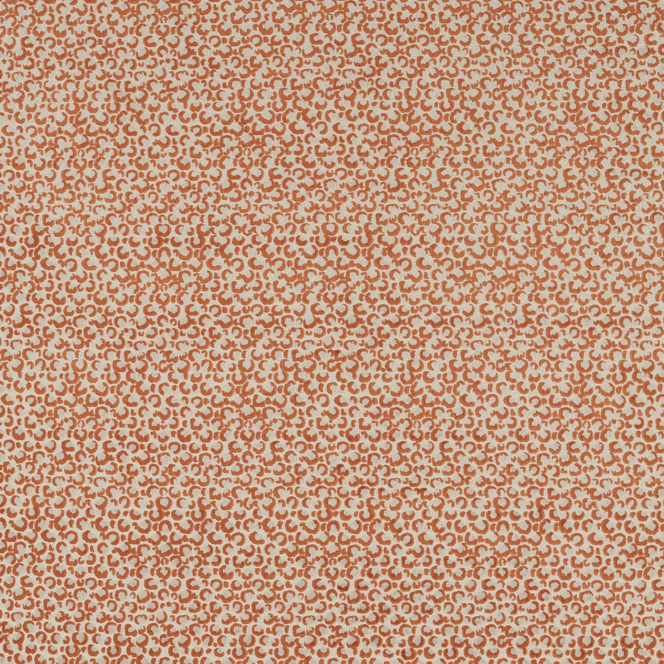 Clarke & Clarke kangas Pokot