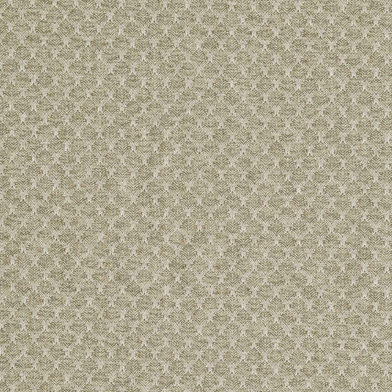 Clarke & Clarke kangas Trelica