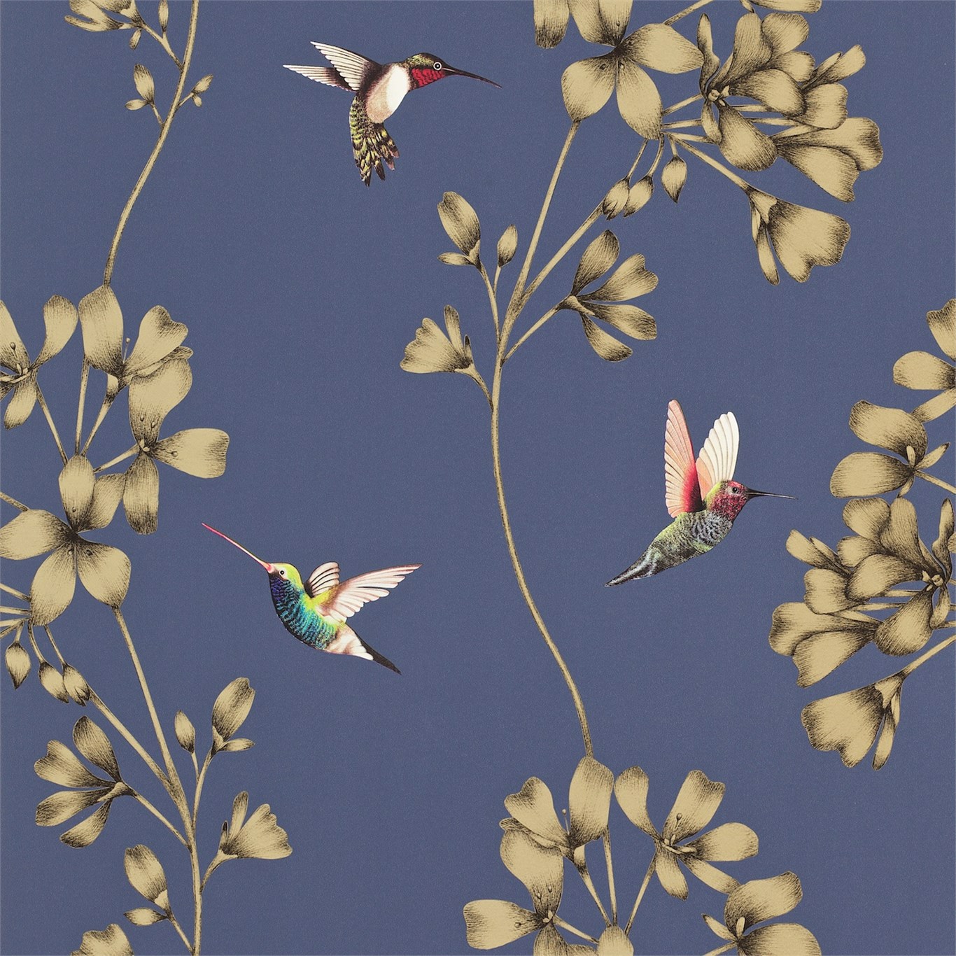 Harlequin tapeet Amazilia Wide Width