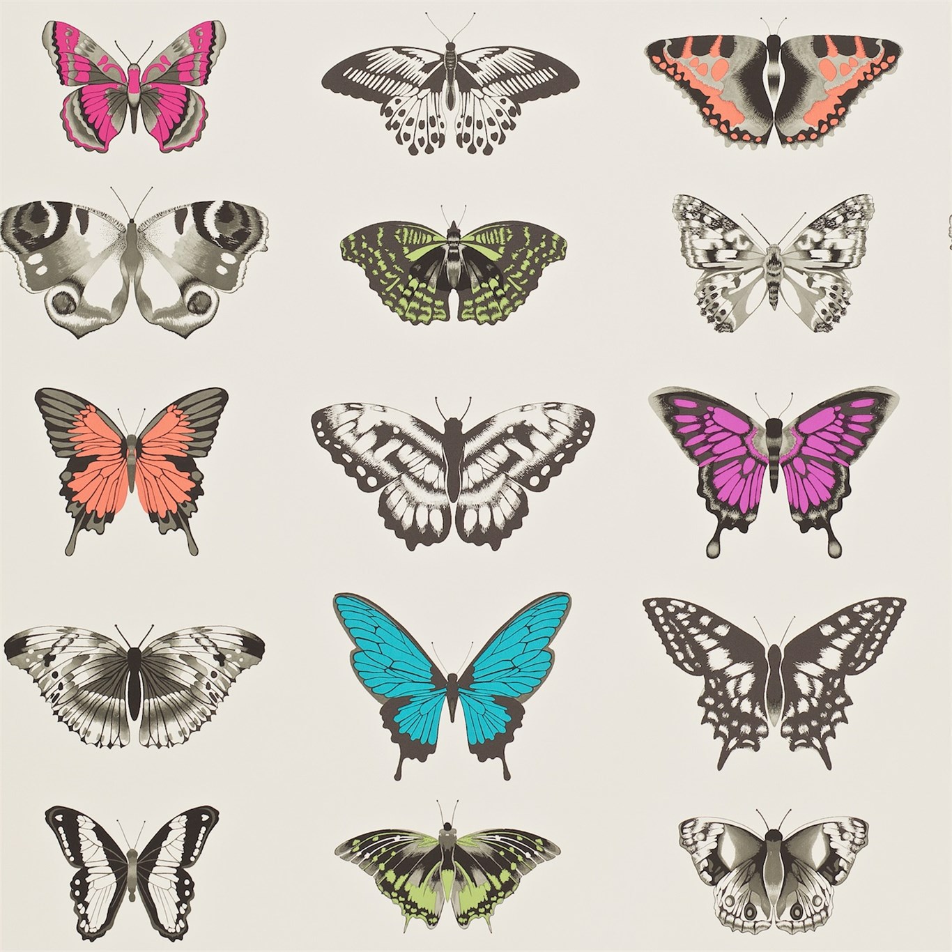 Harlequin tapeet Papilio Wide Width