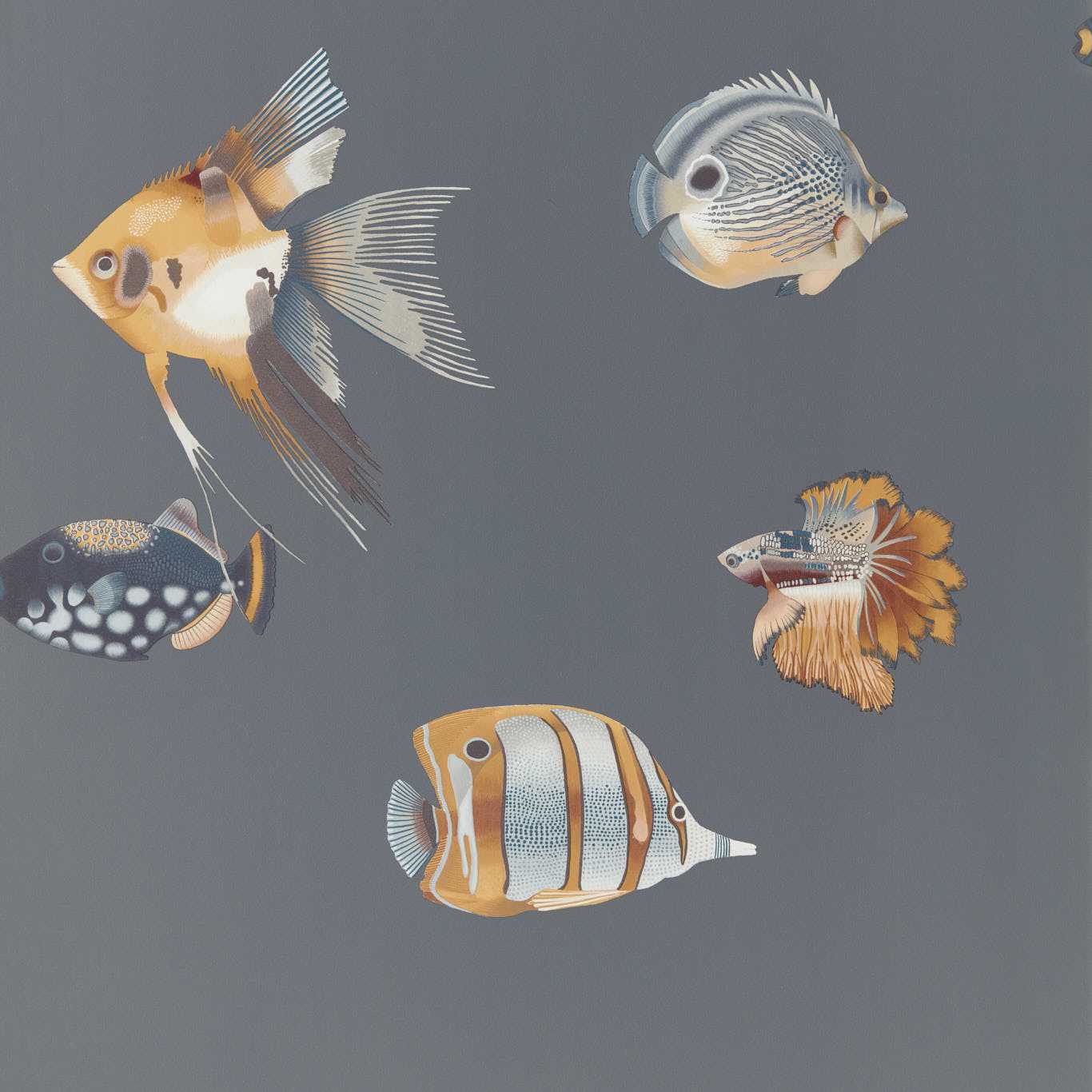 Harlequin tapeet Kamanu Wide Width